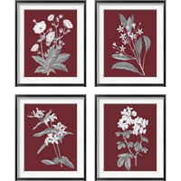 Framed Pomegranate Botanical 4 Piece Framed Art Print Set