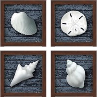 Framed Seashore Shells Navy 4 Piece Framed Art Print Set