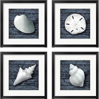 Framed Seashore Shells Navy 4 Piece Framed Art Print Set