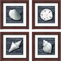 Framed Seashore Shells Navy 4 Piece Framed Art Print Set