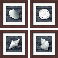 Framed Seashore Shells Navy 4 Piece Framed Art Print Set