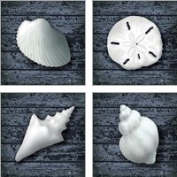 Framed Seashore Shells Navy 4 Piece Art Print Set