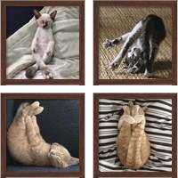 Framed 'Cat Yoga 4 Piece Framed Art Print Set' border=