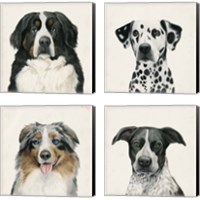 Framed 'Best Bud 4 Piece Canvas Print Set' border=