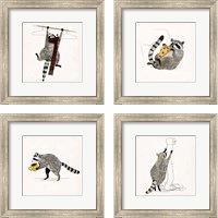 Framed 'Rascally Raccoon 4 Piece Framed Art Print Set' border=