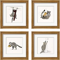 Framed 'Rascally Raccoon 4 Piece Framed Art Print Set' border=