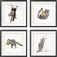 Framed 'Rascally Raccoon 4 Piece Framed Art Print Set' border=