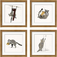 Framed Rascally Raccoon 4 Piece Framed Art Print Set