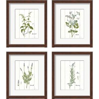 Framed 'Cottage Herbs 4 Piece Framed Art Print Set' border=