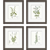 Framed Cottage Herbs 4 Piece Framed Art Print Set