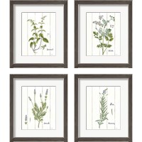 Framed 'Cottage Herbs 4 Piece Framed Art Print Set' border=