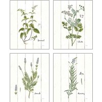 Framed 'Cottage Herbs 4 Piece Art Print Set' border=