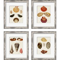 Framed 'Knorr Shells 4 Piece Framed Art Print Set' border=