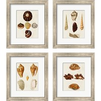 Framed 'Knorr Shells 4 Piece Framed Art Print Set' border=