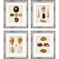 Framed 'Knorr Shells 4 Piece Framed Art Print Set' border=