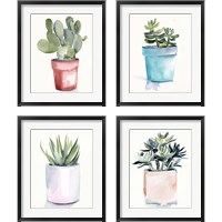 Framed 'Potted Succulent 4 Piece Framed Art Print Set' border=