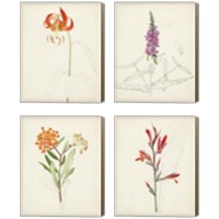 Framed Watercolor Botanical Sketches 4 Piece Canvas Print Set