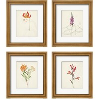 Framed 'Watercolor Botanical Sketches 4 Piece Framed Art Print Set' border=