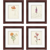 Framed Watercolor Botanical Sketches 4 Piece Framed Art Print Set