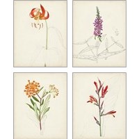 Framed Watercolor Botanical Sketches 4 Piece Art Print Set