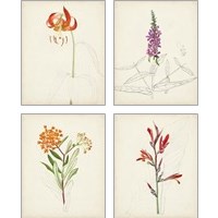 Framed 'Watercolor Botanical Sketches 4 Piece Art Print Set' border=