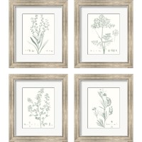 Framed 'Botanical Study in Sage 4 Piece Framed Art Print Set' border=