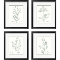 Framed 'Botanical Study in Sage 4 Piece Framed Art Print Set' border=