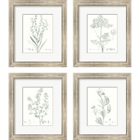 Framed Botanical Study in Sage 4 Piece Framed Art Print Set