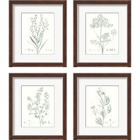 Framed 'Botanical Study in Sage 4 Piece Framed Art Print Set' border=