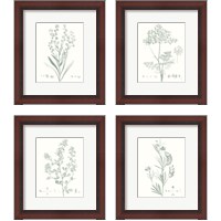 Framed Botanical Study in Sage 4 Piece Framed Art Print Set