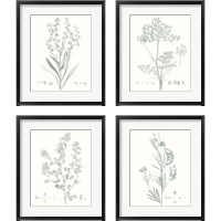 Framed Botanical Study in Sage 4 Piece Framed Art Print Set