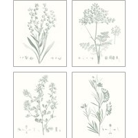 Framed Botanical Study in Sage 4 Piece Art Print Set
