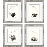 Framed Graphic Succulents 4 Piece Framed Art Print Set