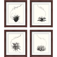 Framed 'Graphic Succulents 4 Piece Framed Art Print Set' border=