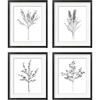 Framed 'Field Flower 4 Piece Framed Art Print Set' border=