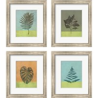 Framed 'Green Botanicals 4 Piece Framed Art Print Set' border=