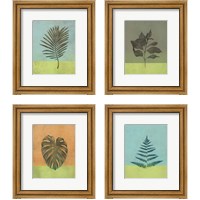 Framed 'Green Botanicals 4 Piece Framed Art Print Set' border=