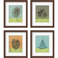 Framed 'Green Botanicals 4 Piece Framed Art Print Set' border=