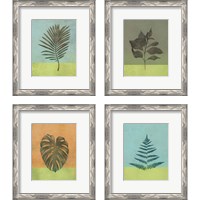 Framed 'Green Botanicals 4 Piece Framed Art Print Set' border=