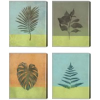Framed 'Green Botanicals 4 Piece Canvas Print Set' border=