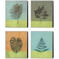 Framed 'Green Botanicals 4 Piece Canvas Print Set' border=