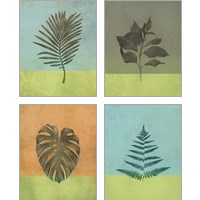 Framed 'Green Botanicals 4 Piece Art Print Set' border=