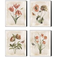 Framed 'Antiquarian Blooms 4 Piece Canvas Print Set' border=