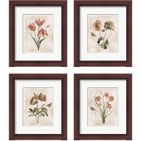 Framed 'Antiquarian Blooms 4 Piece Framed Art Print Set' border=