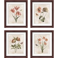 Framed 'Antiquarian Blooms 4 Piece Framed Art Print Set' border=