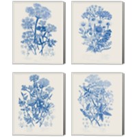 Framed 'Flowering Plants 4 Piece Canvas Print Set' border=