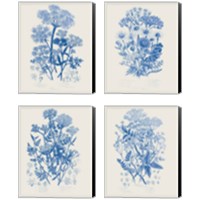 Framed 'Flowering Plants 4 Piece Canvas Print Set' border=