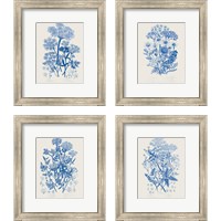 Framed 'Flowering Plants 4 Piece Framed Art Print Set' border=