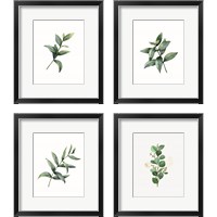 Framed 'Eucalyptus  4 Piece Framed Art Print Set' border=