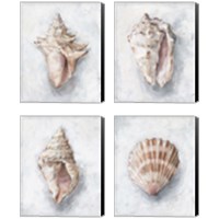 Framed 'White Shell Study 4 Piece Canvas Print Set' border=